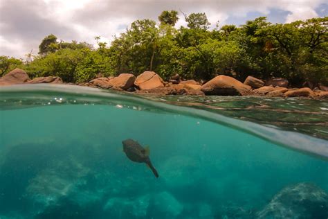 Praslin - die Trauminsel - Sehenswürdigkeiten und alle wichtigen Infos