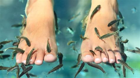 Woman's Toenails Fall Off After Fish Pedicure | Allure