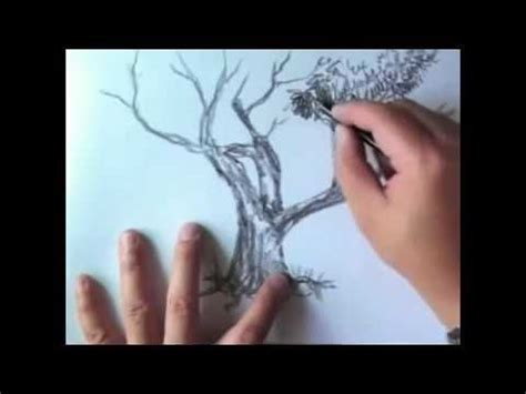 Cara Menggambar Pohon Dengan Pensil Tutorial Gambar Rumah Pohon Orang 3 ...