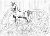 Realistic Unicorn coloring pages Download And Print For Free sketch template
