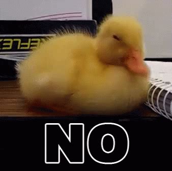 Nope GIF - Nope Duck NoWay - Discover & Share GIFs | Funny gif, Funny ...