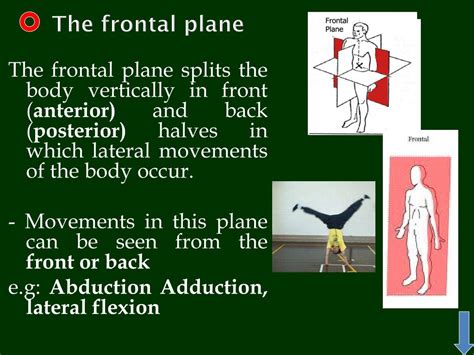 PPT - Axes and planes (fundamental positions and movements) PowerPoint ...