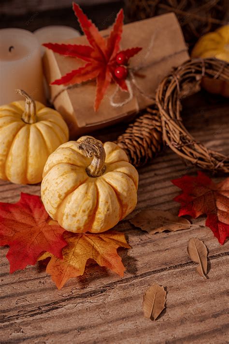 Thanksgiving Pumpkin Photography Map Background And Picture For Free Download - Pngtree