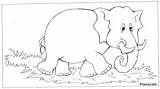 Wild Animals Coloring Pages  Pitara Kids Network sketch template