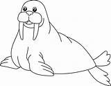 Walrus Coloring Page Isolated For Kids 5163280 Vector Art At Vecteezy sketch template