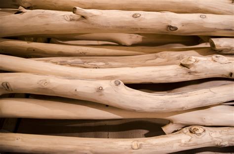Free Images : driftwood, tree, branch, wood, trunk, rustic, rural, log, produce, lumber ...