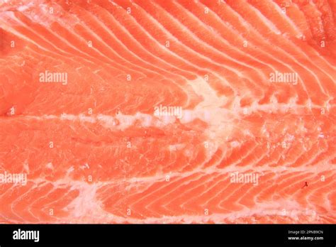 salmon fish meat texture as gourmet background Stock Photo - Alamy