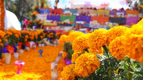 Datos curiosos sobre el día de Muertos en México – Blog de Página Web Leon