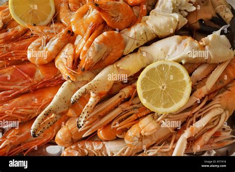 picture of platter of seafood for christmas Stock Photo - Alamy