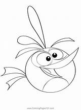 Bubbles Angry Birds Oriole Coloring Page For Kids  Free sketch template