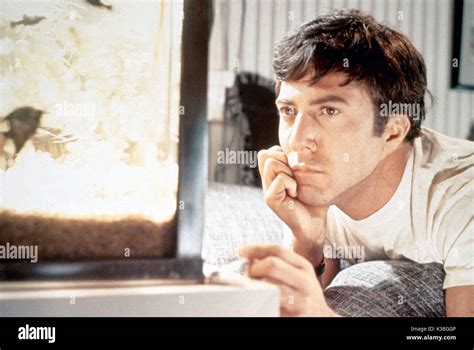 THE GRADUATE DUSTIN HOFFMAN Date: 1967 Stock Photo - Alamy