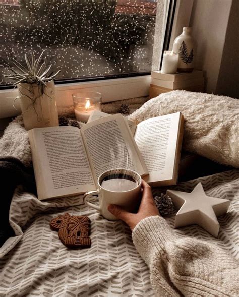 Bookworm Aesthetic🤍 | Cosy aesthetic, Winter pictures, Christmas aesthetic