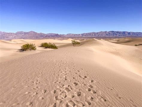 Exploring the Mesquite Flat Sand Dunes— The Discoveries Of