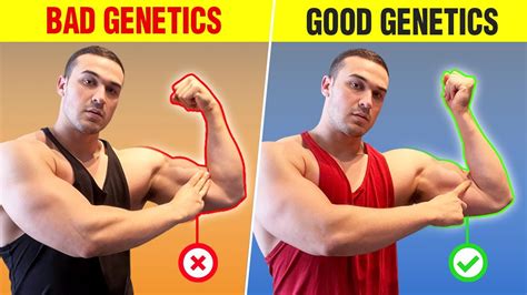 Do You Have "Good" or "Bad" Muscle-Building Genetics? (5 SIGNS) - Pumping Metals