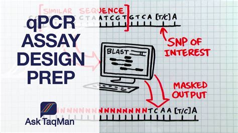 qPCR Assay Design Prep - Ask TaqMan #36 - YouTube