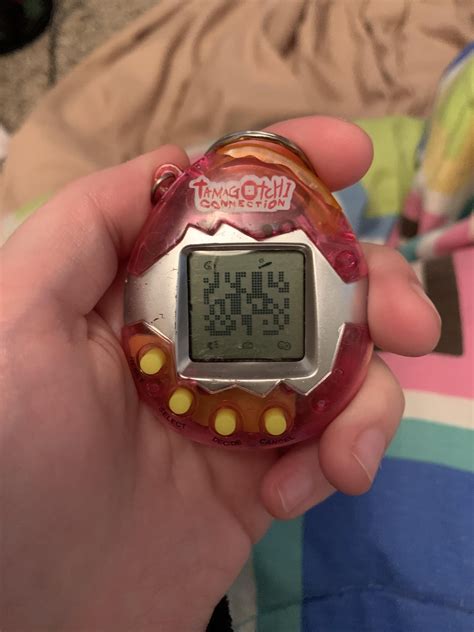 Help. What does this screen mean? : r/tamagotchi