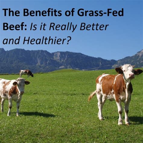 The Benefits of Grass-Fed Beef: Is it Really Better and Healthier?
