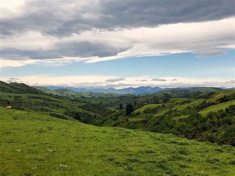 New-Zealand-Scenic-View | Banjo and Layla's Lifestyle and Travel