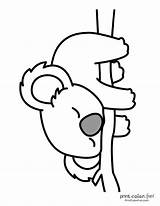 21 Free Cute Koala coloring pages & Clipart Printables At  sketch template