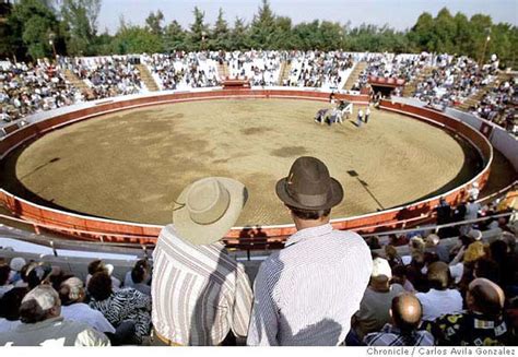 California's 'bloodless bullfights' keep Portuguese tradition alive