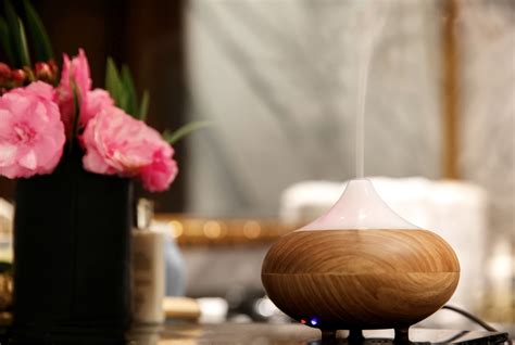 Best Diffuser Humidifiers 2022: Reviews and Buying Guide