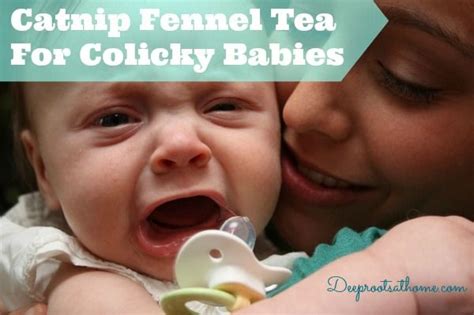 Catnip Fennel Tea For Colicky Babies, tired mother, weary mom, Mama with colicky baby, crying ...
