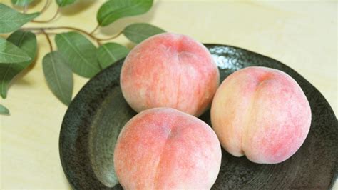 Why Everyone Preaches about Japanese Peaches | byFood