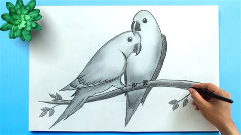 BIRD DRAWING || How to Draw Parrots (Love Bird Drawing)|| Easy Bird Pencil Drawing - YouTube