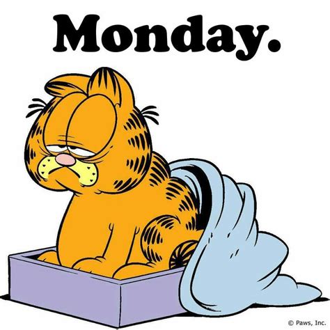 Mi cara... en este momento. Garfield Cartoon, Garfield Comics, Garfield And Odie, Cartoons ...