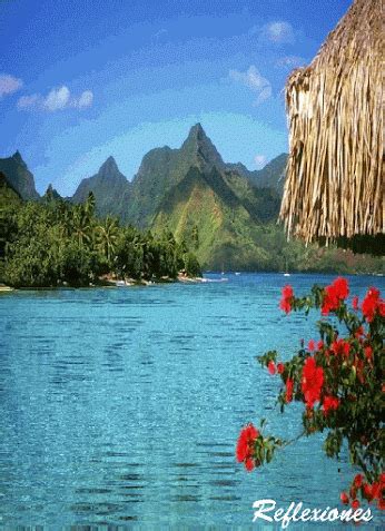 Scenery•GiF Bora Bora Island, Bahamas Island, Fiji Islands, Vacation Destinations, Dream ...