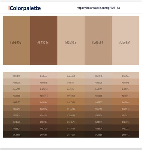 Brown Color Palette Hex Code, Skin Color Palette, Orange Color Palettes, Brown Color Schemes ...