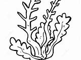 Kelp Coloring Page At GetColoringscom  Free Printable Colorings Pages sketch template