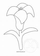 Easter Lily Coloring Page At Tanemilyblog Blog sketch template