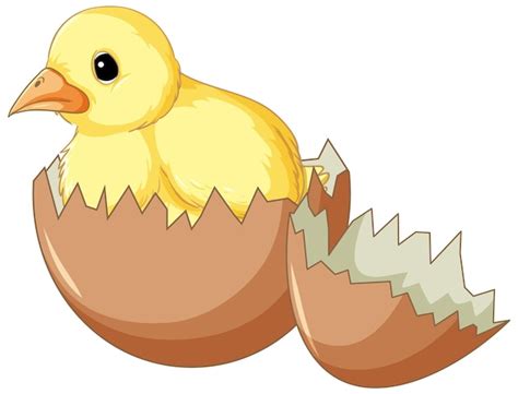 Free Vector | A chick in hatching egg