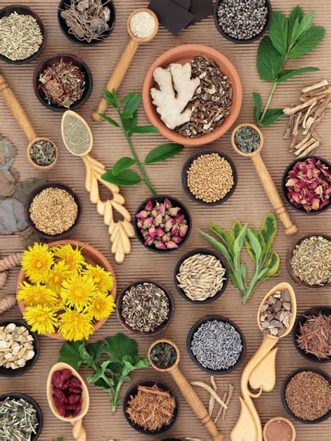 8 Indian Herbs For Women's Health and Wellness