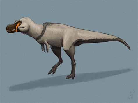 Gorgosaurus libratus by Adamsaurus02 on DeviantArt