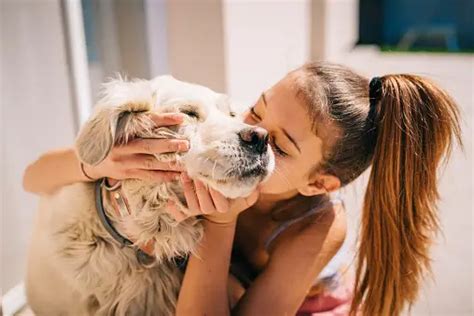 Dog Cuddle Pictures | Download Free Images on Unsplash