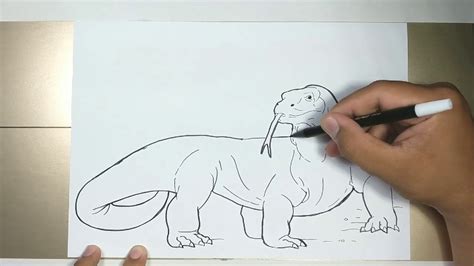 How to draw KOMODO Dragon in 5 Minutes - YouTube