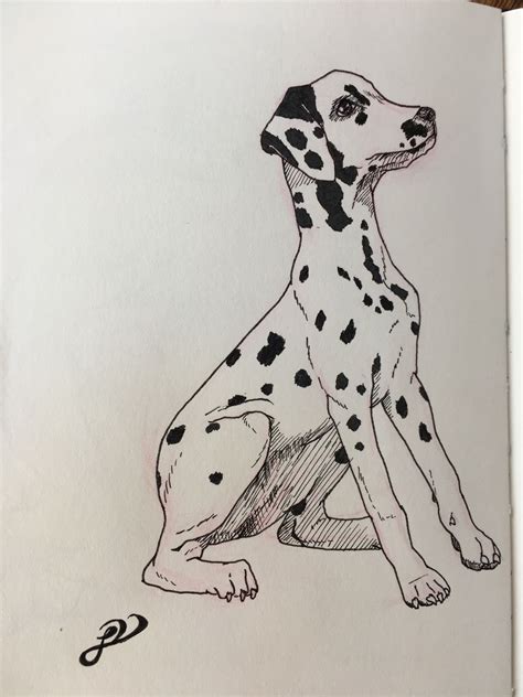 #ink #drawing #dalmatian #puppy #scetchbook #sketch | Dalmatian drawing ...