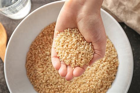 Brown Rice Protein - Ultimate Guide by Zen Principle