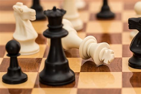 Checkmate Chess Resignation - Free photo on Pixabay