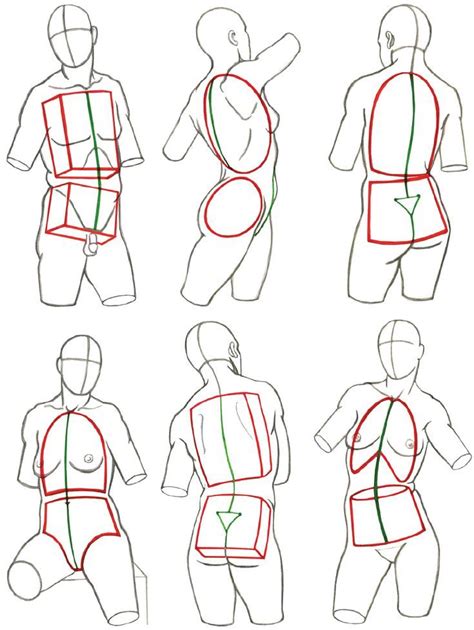 Structures and Planes of the Figure – Classic Human Anatomy in Motion: The Artis… | Desenho ...