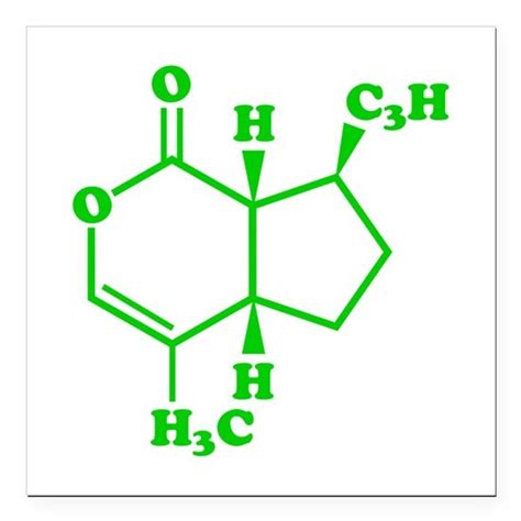 Catnip Nepetalactone Molecular Chemical Formula Sq by A fan of tiny biscuits - CafePress