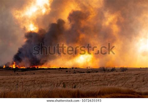 Cedar Fire: Over 1,446 Royalty-Free Licensable Stock Photos | Shutterstock