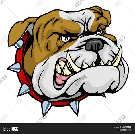 Mean Bulldog Mascot Vector & Photo (Free Trial) | Bigstock