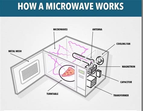 What Happens When You Put A Metallic Object In A Microwave? » ScienceABC