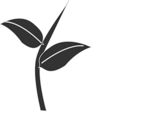 나뭇잎 식물 줄기 - Pixabay의 무료 벡터 그래픽