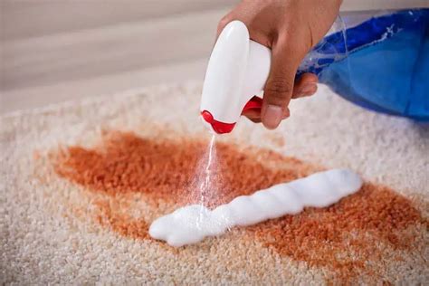 Getting Blood Out of Carpet: Best Home Solutions - Archute