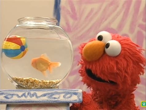 Elmo s world bath time muppet wiki fandom – Artofit