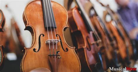 7 Different Types of Violins - MusicalHow